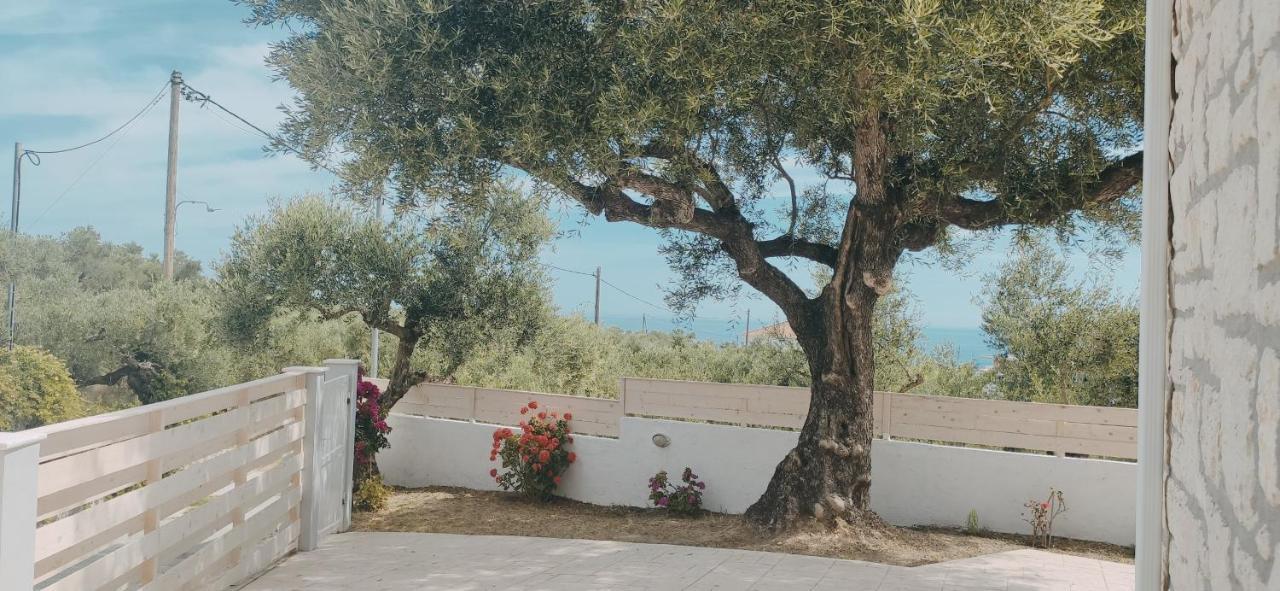 Villa Zante Avia Plános Dış mekan fotoğraf